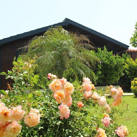 Cirali Villa'S เกเมร์ ภายนอก รูปภาพ
