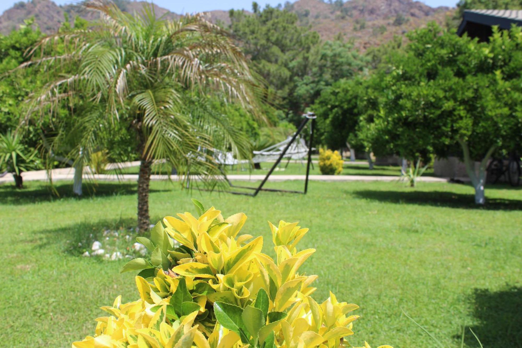 Cirali Villa'S เกเมร์ ภายนอก รูปภาพ